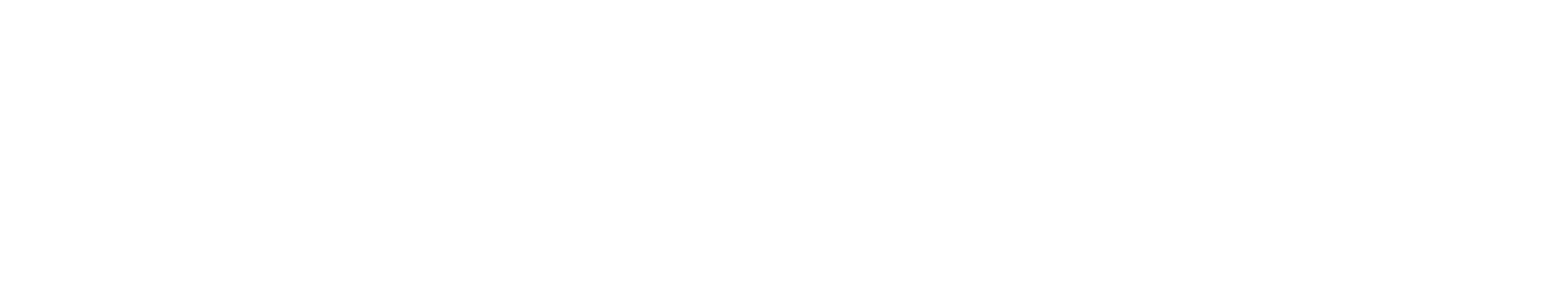Civil Steward